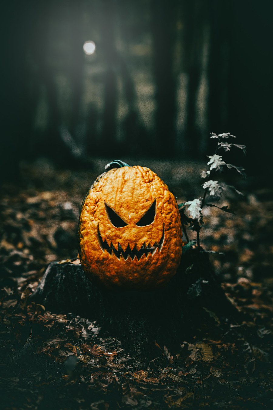 halloween.jpg