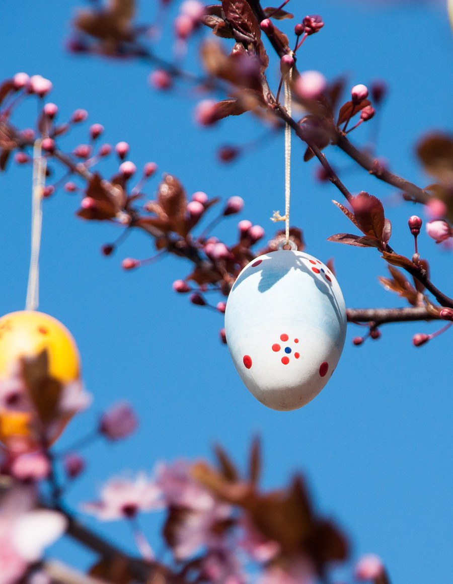 Detail von Osterbaum mit bemalten Eiern vor blauem Himmel