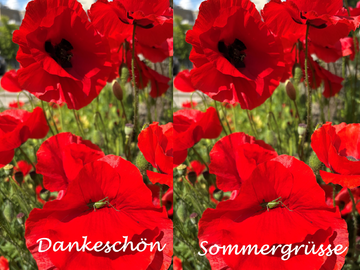 Ein Sommergruss aus der Seelsorge