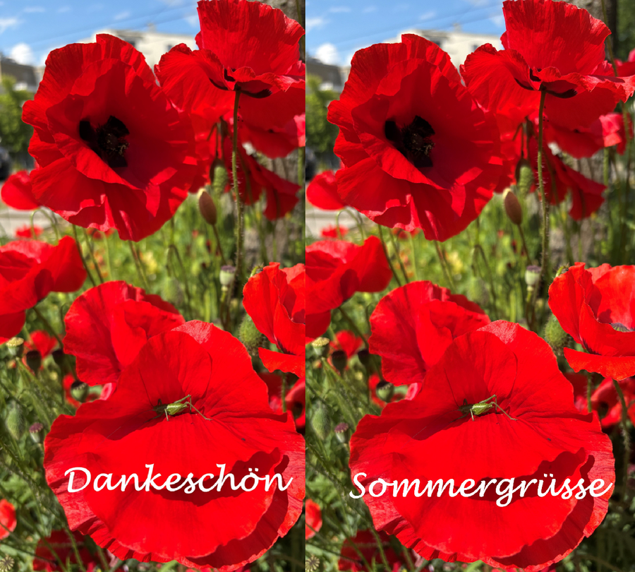 Sommerkarte_webpage.png Sommerkarte_webpage.png